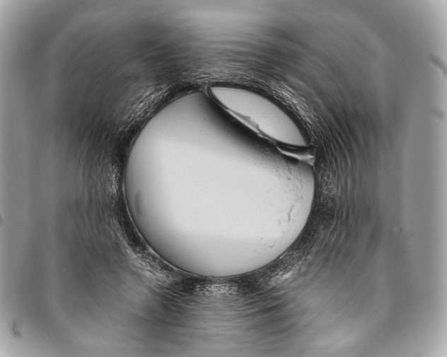 X0000096220546200802081527