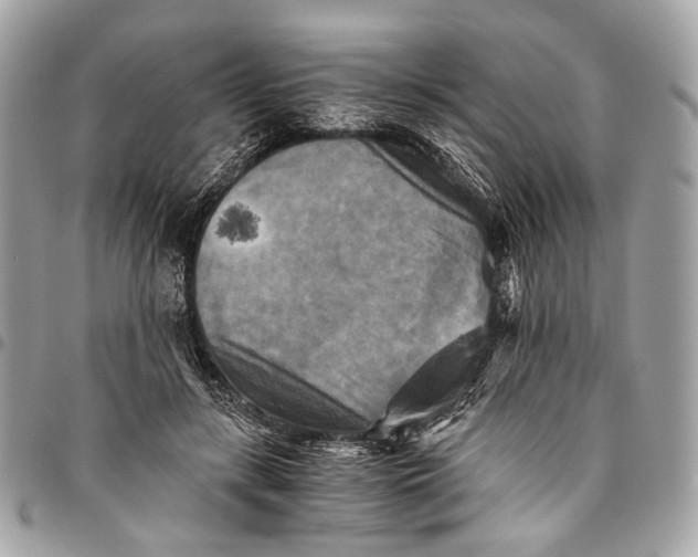 X0000096220547200802081527