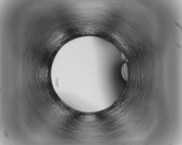 X0000096220548200802081527