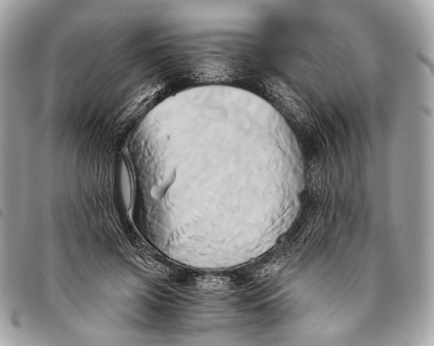 X0000096220549200802081527