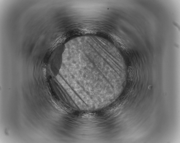 X0000096220550200802081527