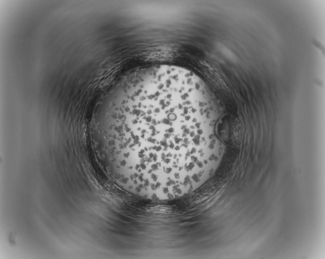 X0000096220551200802081527