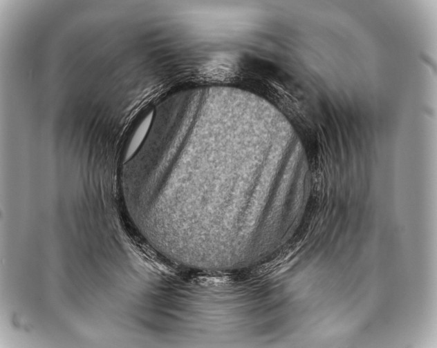 X0000096220552200802081527