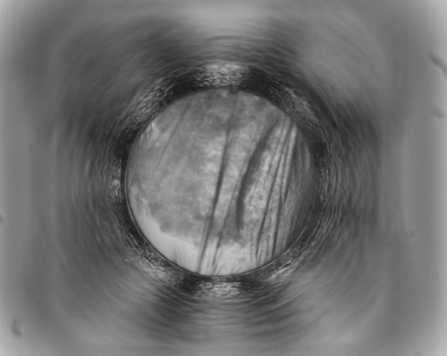 X0000096220553200802081527