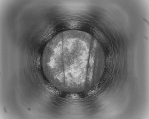 X0000096220554200802081527