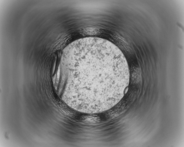 X0000096220555200802081527