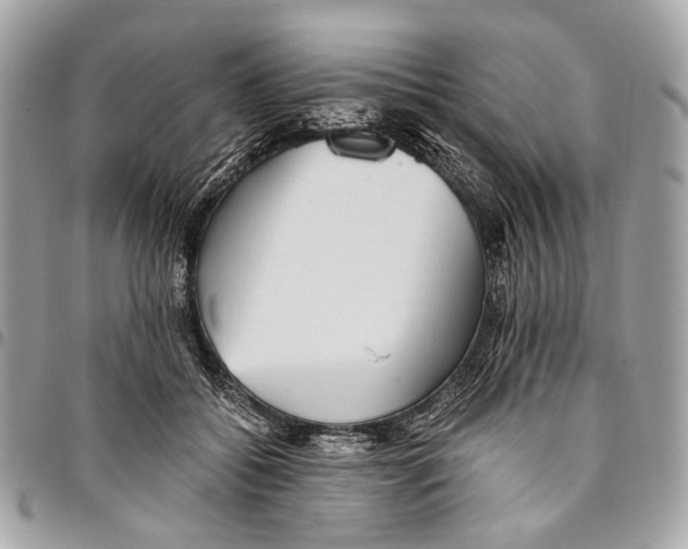 X0000096220556200802081527