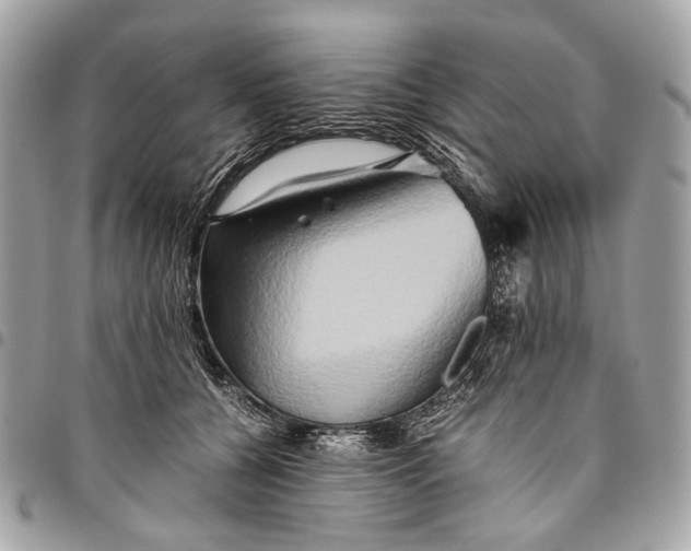 X0000096220560200802081527