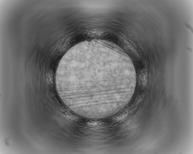 X0000096220561200802081527