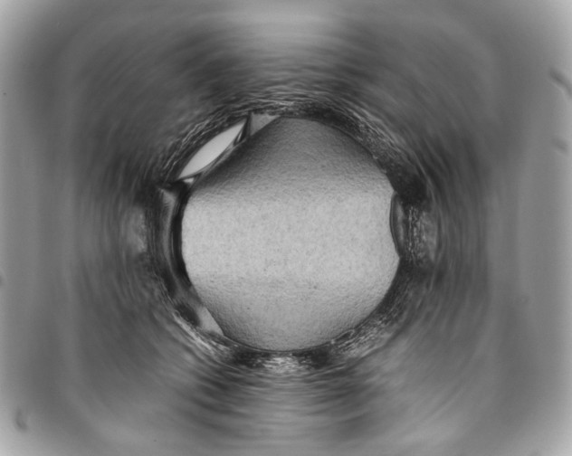 X0000096220562200802081527