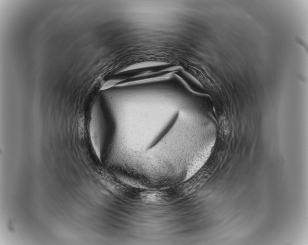 X0000096220564200802081528