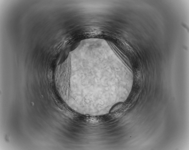 X0000096220565200802081528