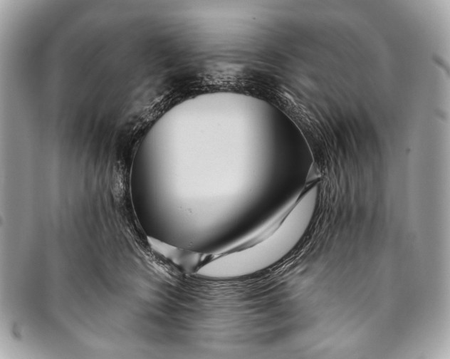 X0000096220566200802081528