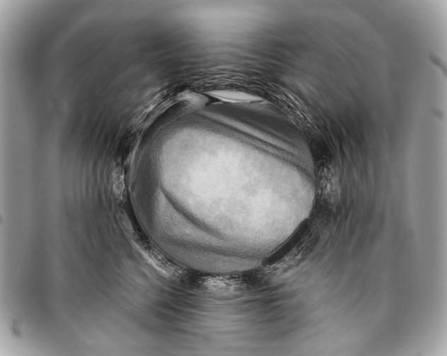 X0000096220568200802081528