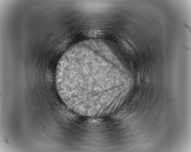 X0000096220569200802081528