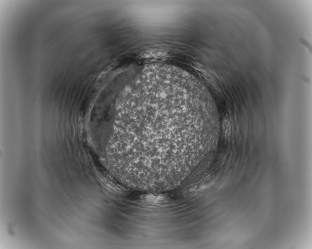 X0000096220570200802081528