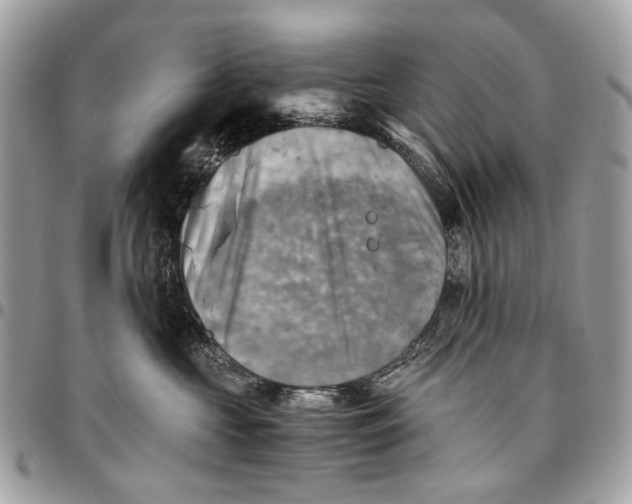 X0000096220573200802081528