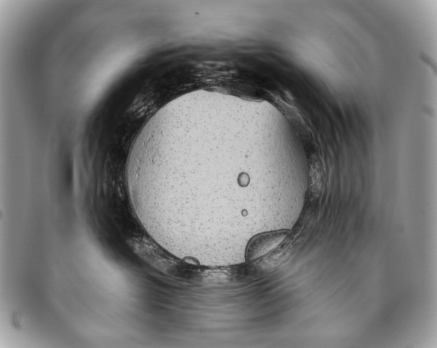 X0000096220574200802081528