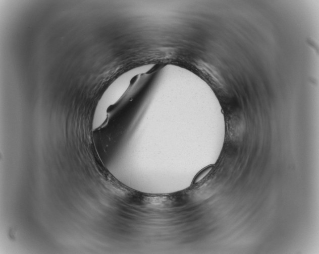 X0000096220575200802081528