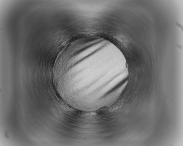 X0000096220576200802081528