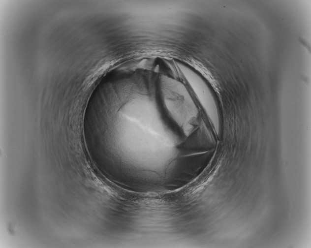 X0000096220577200802081527