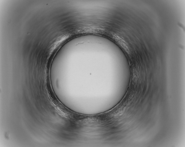 X0000096220578200802081527