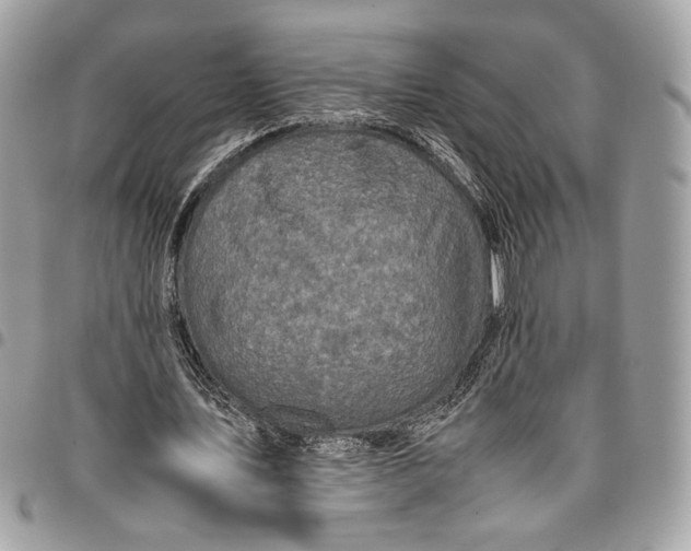 X0000096220579200802081527