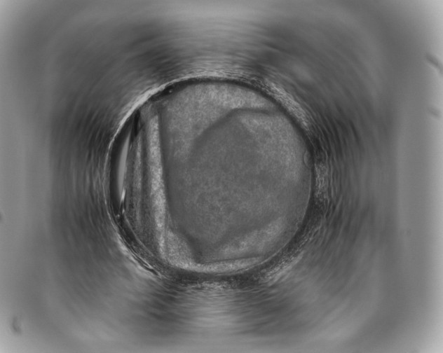 X0000096220580200802081527