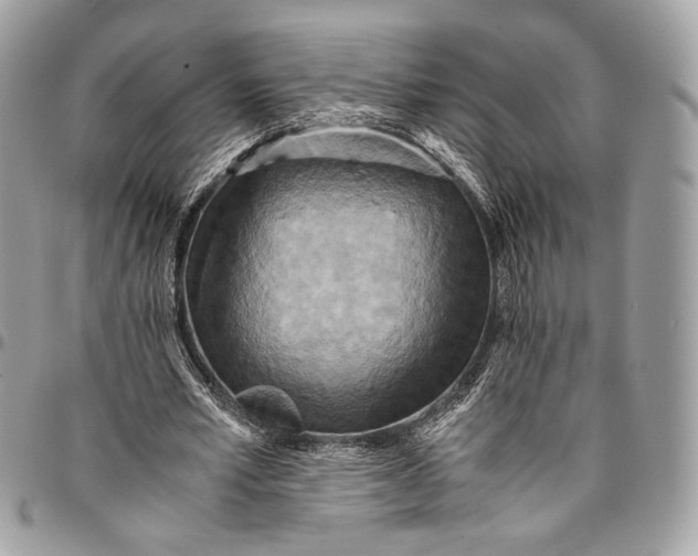 X0000096220581200802081527