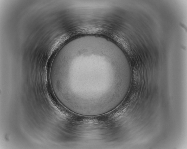 X0000096220582200802081527