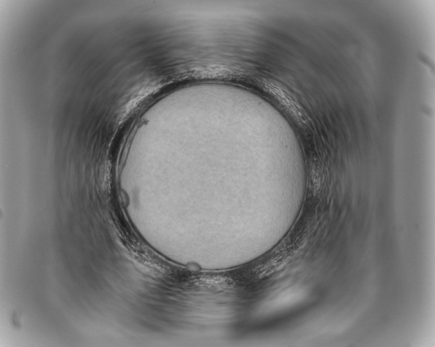 X0000096220583200802081527