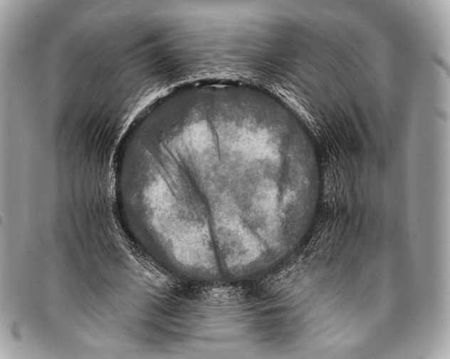 X0000096220584200802081527