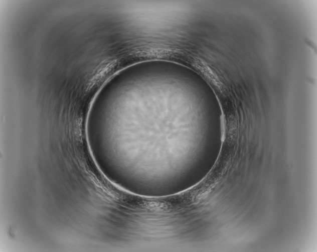 X0000096220585200802081527