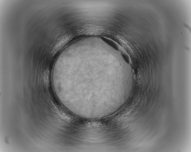 X0000096220586200802081527