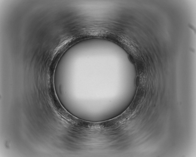 X0000096220587200802081527