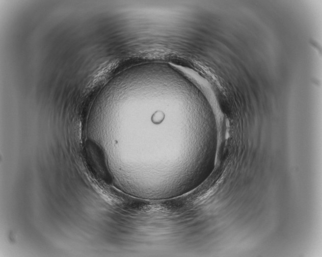 X0000096220589200802081527