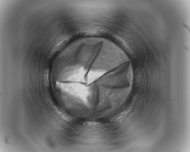 X0000096220590200802081527