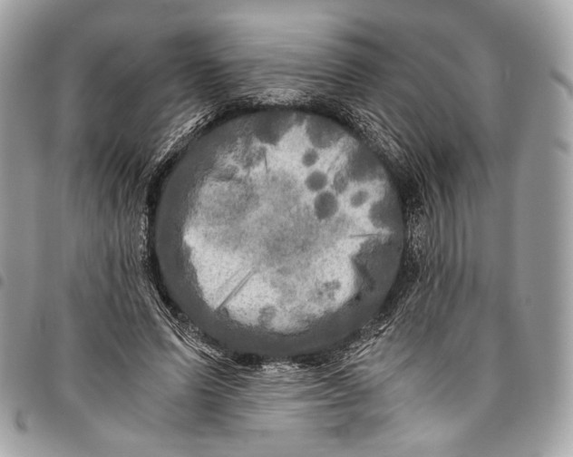 X0000096220591200802081527