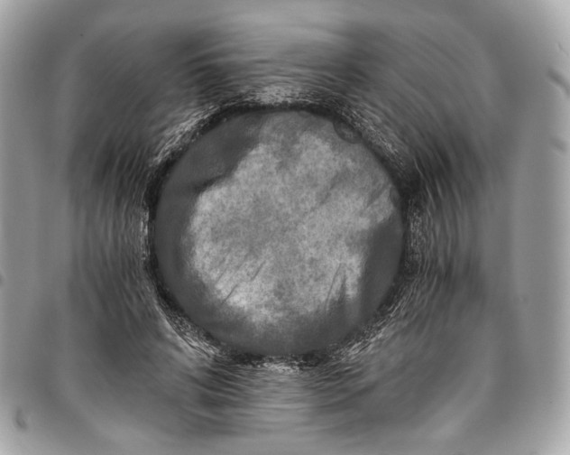 X0000096220592200802081527