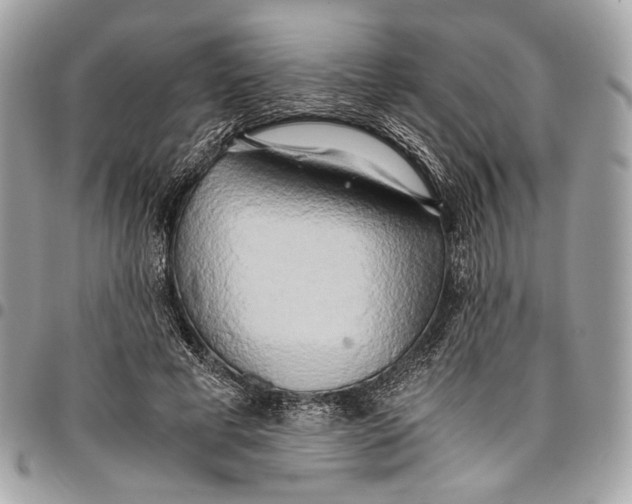 X0000096220593200802081527