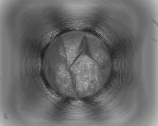 X0000096220594200802081527