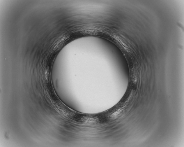 X0000096220597200802081527