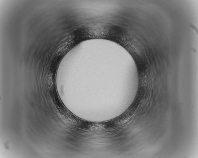 X0000096220599200802081527