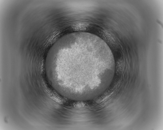 X0000096220600200802081527