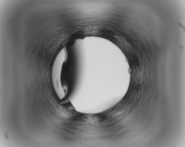 X0000096220601200802081527