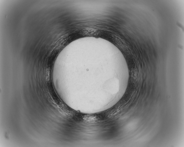 X0000096220602200802081527