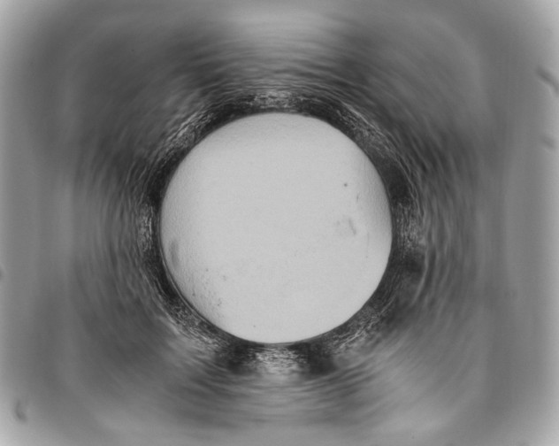 X0000096220603200802081527