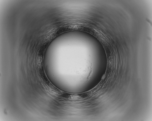 X0000096220605200802081527