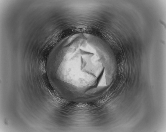 X0000096220606200802081527