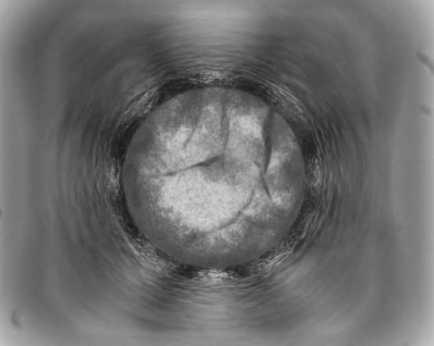 X0000096220607200802081527